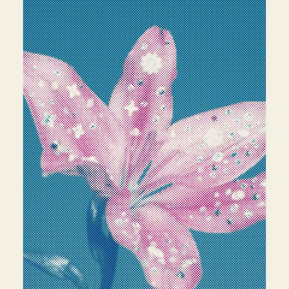 打印风格实验